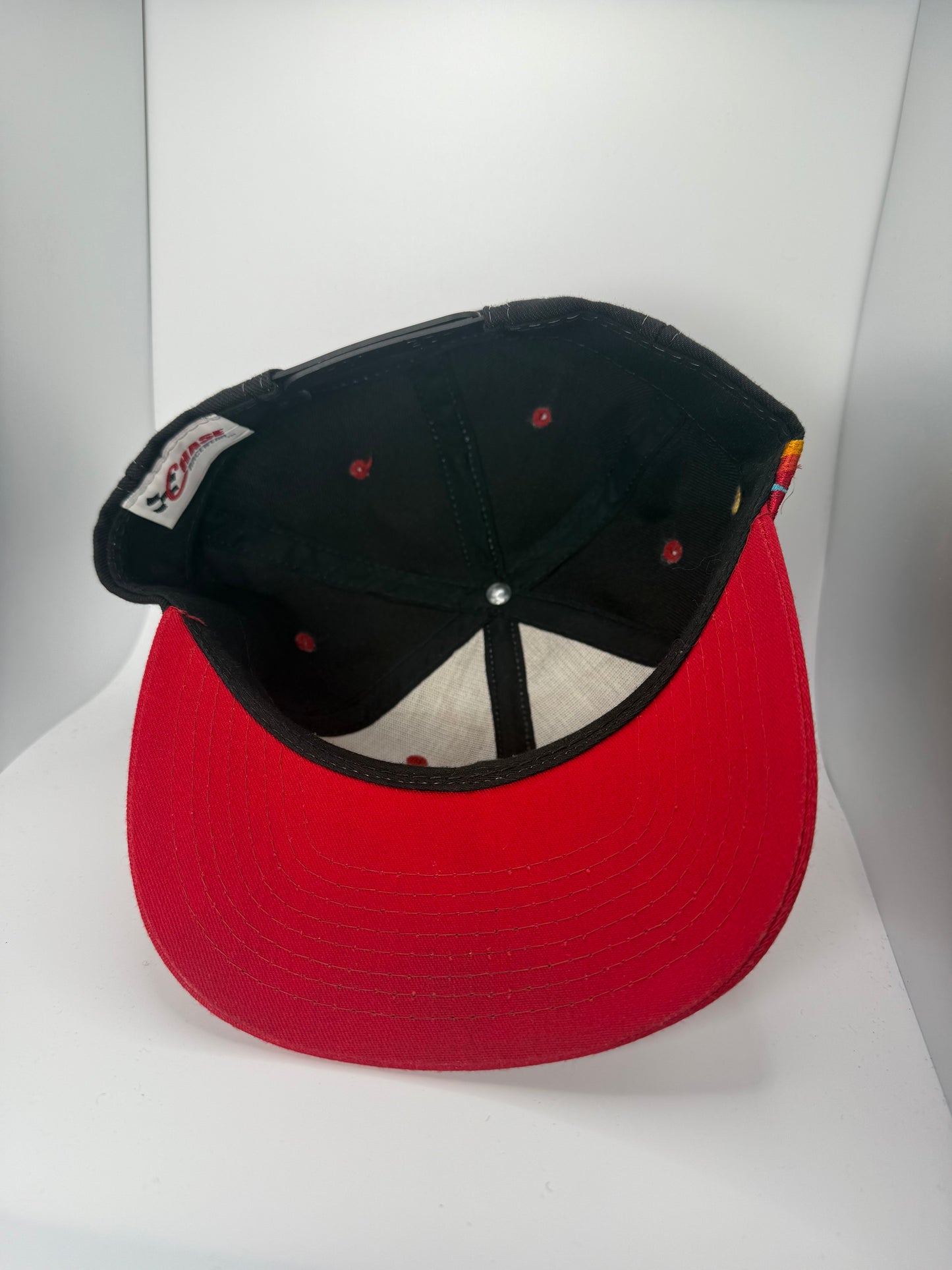 Vintage Dale Earnhardt Flames Snapback