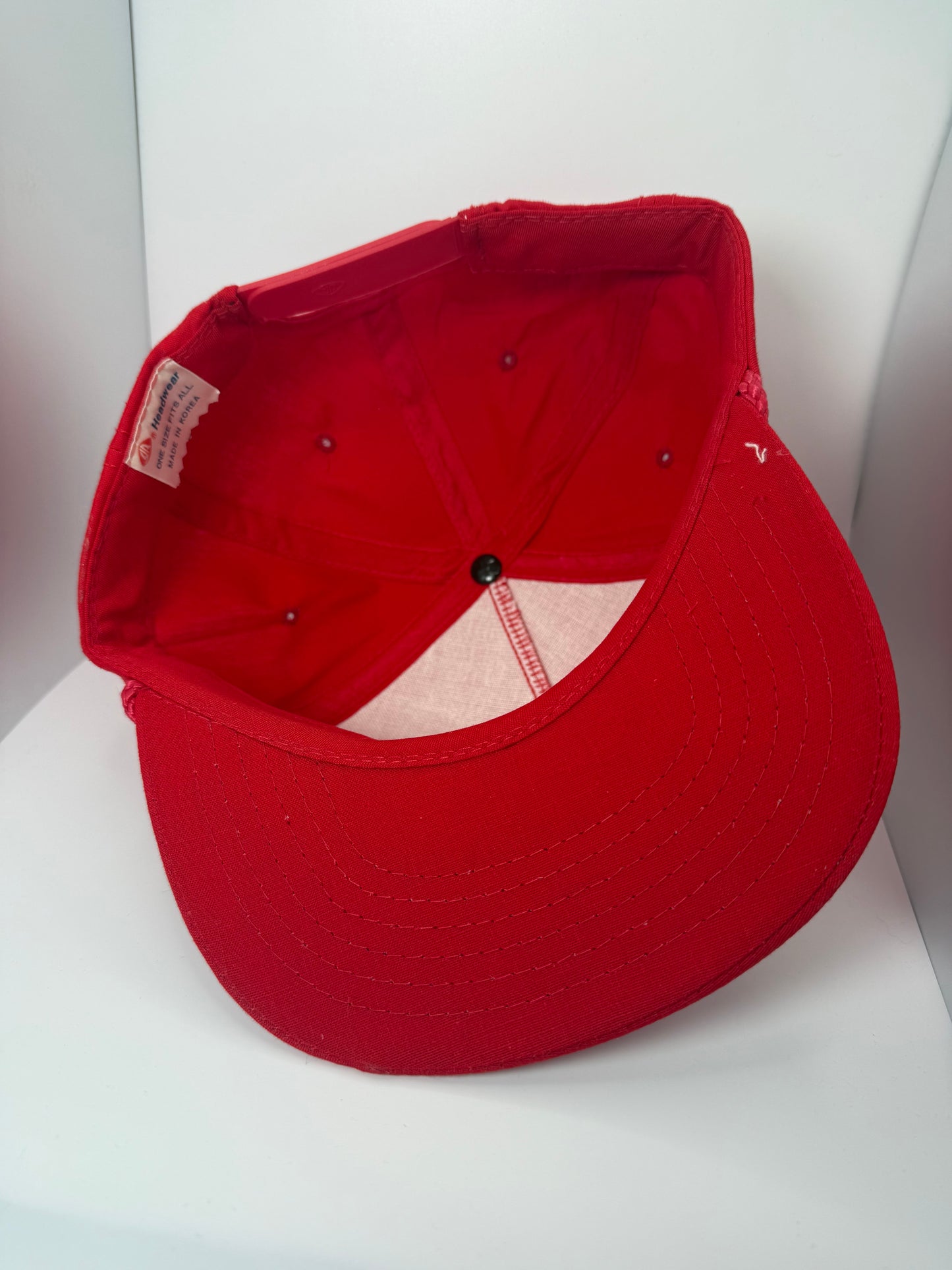Vintage Coors Biotech Snapback