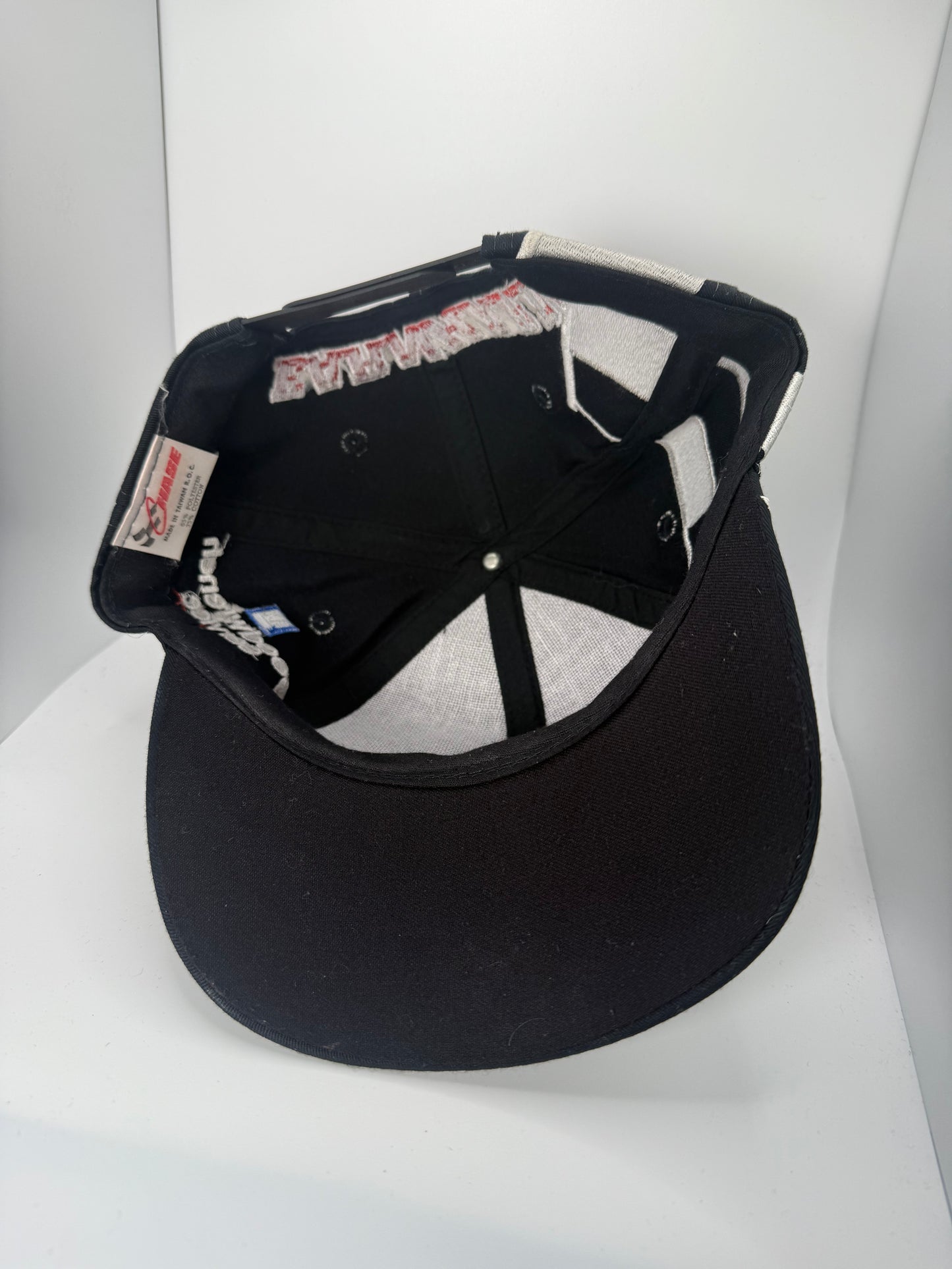 Vintage Dale Earnhardt Back Hit Snapback