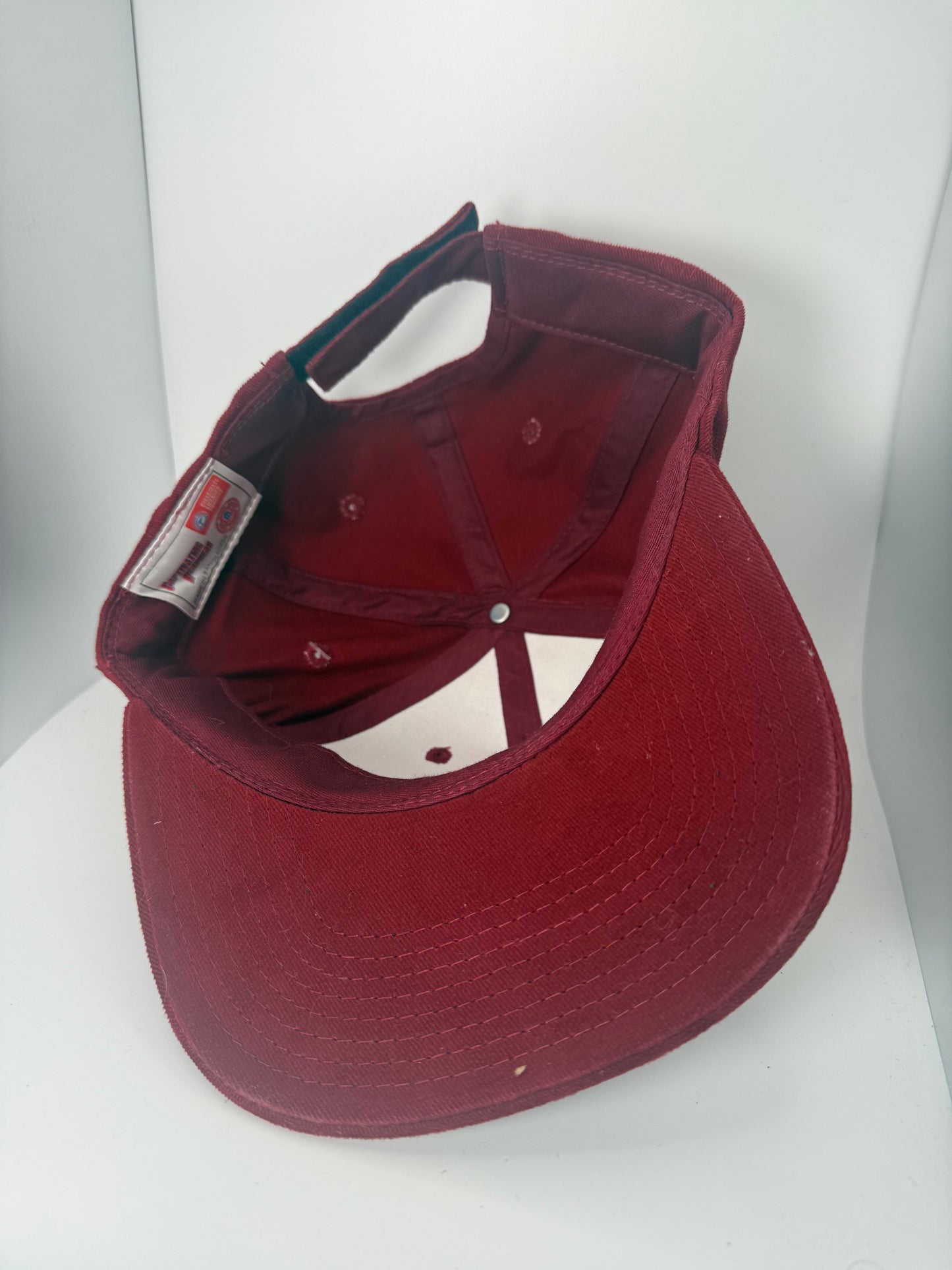 Vintage Arkansas Razorbacks Hogs Strapback