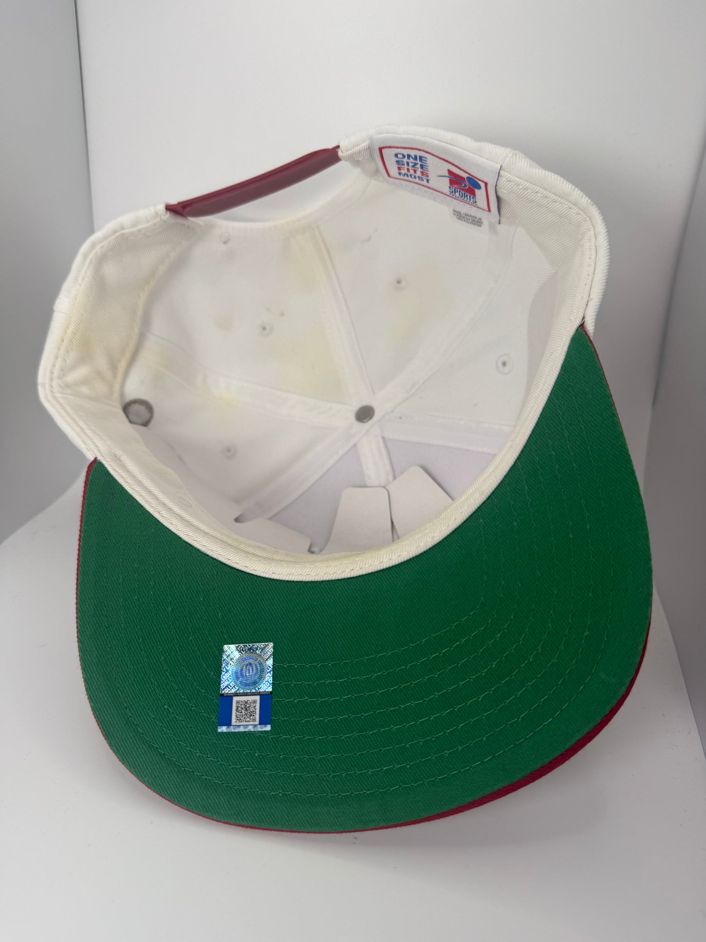 Vintage Arkansas Razorbacks Sports Specialties Shadow Snapback