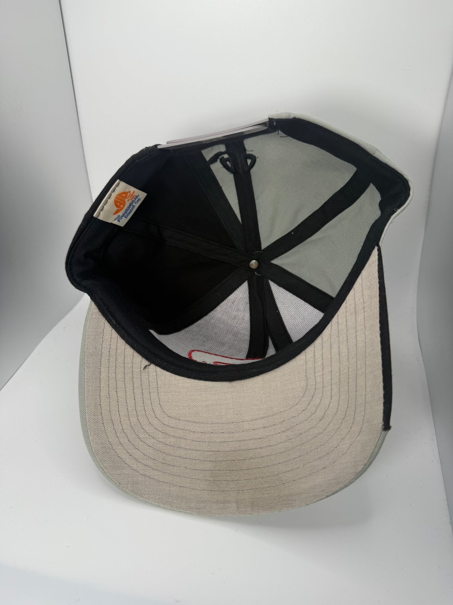 Vintage Dale Earnhardt AJD Snapback