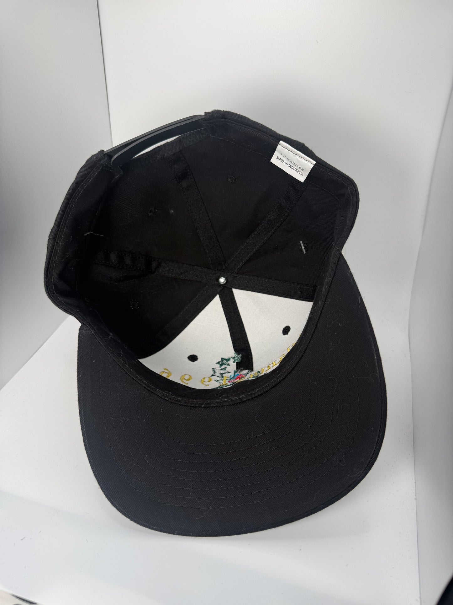Vintage 1996 Olympics Snapback