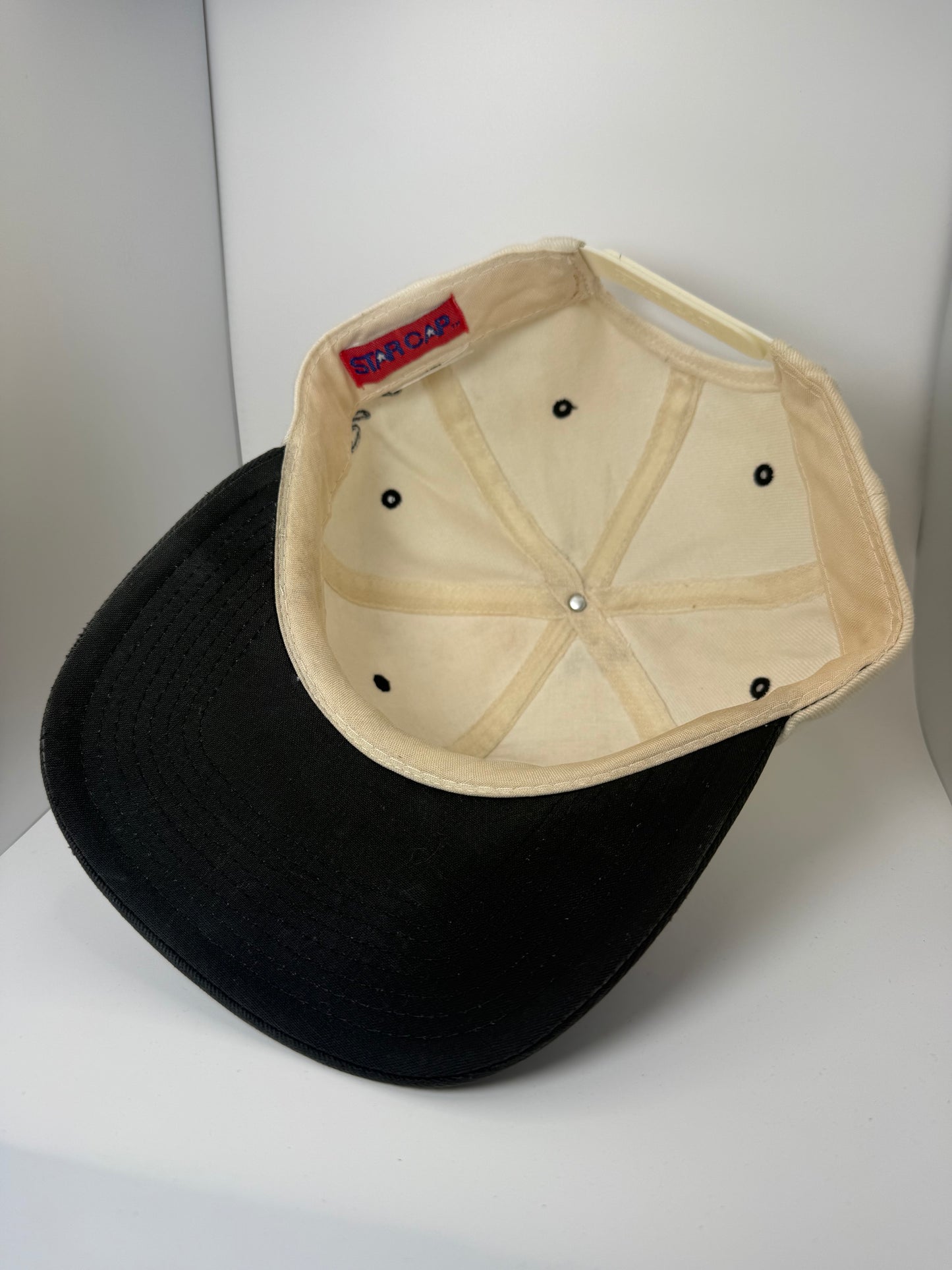 Vintage Dale Earnhardt Snapback