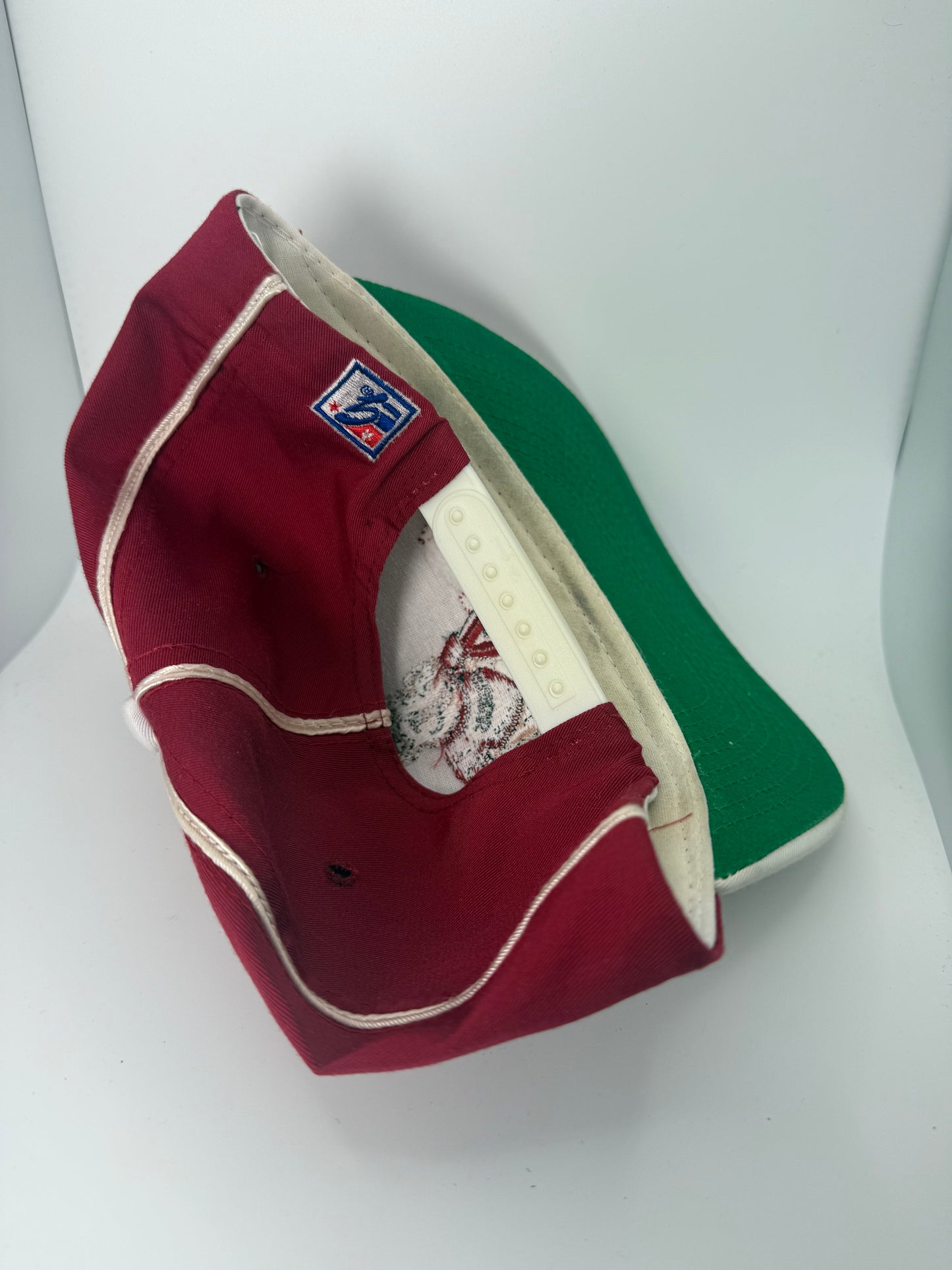 Vintage Arkansas Razorbacks The Game Snapback