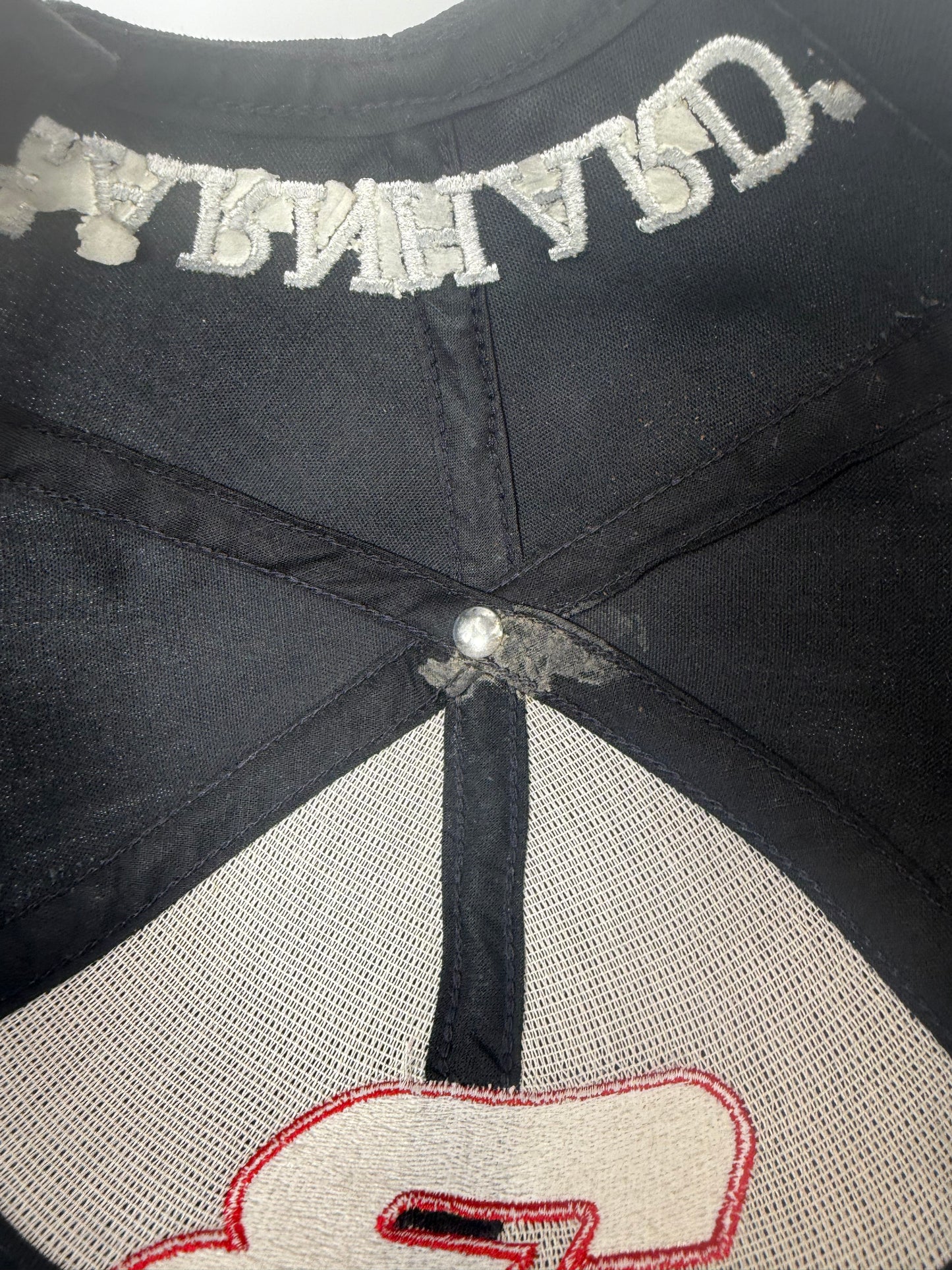 Vintage Dale Earnhardt Snapback