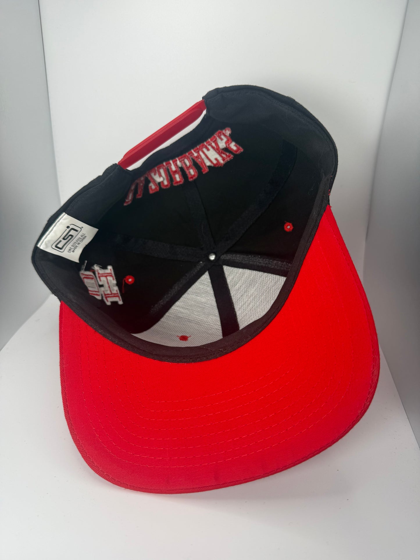Vintage Arkansas Razorbacks Slobber Hog Snapback