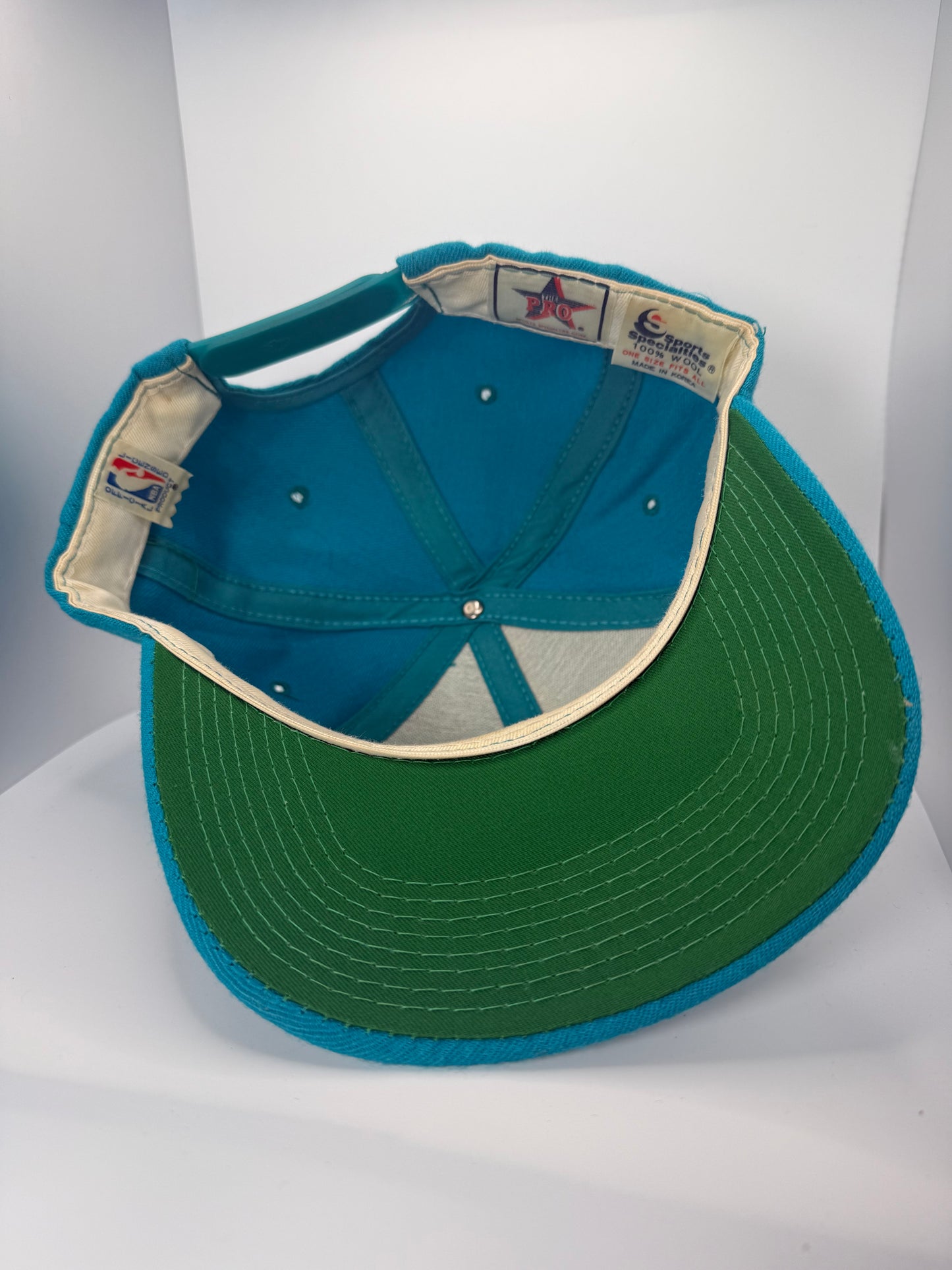 Vintage Charlotte Hornets Sports Specialties Script Snapback