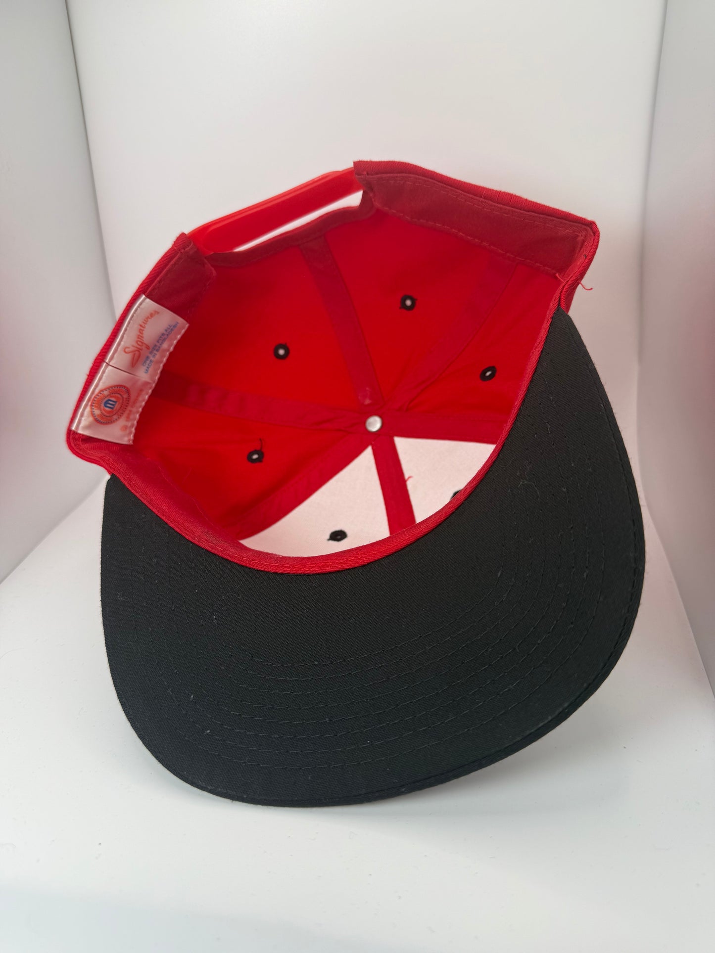 Vintage University of Wisconsin Snapback