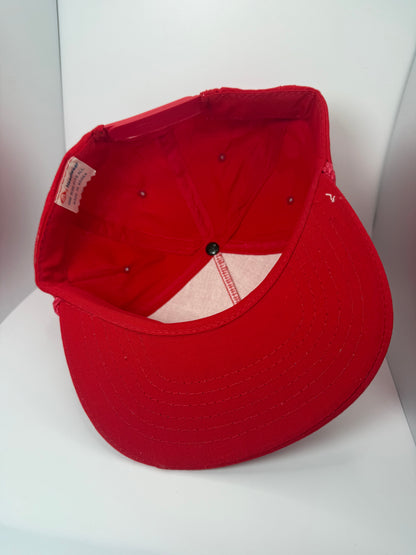 Vintage Coors Biotech Snapback