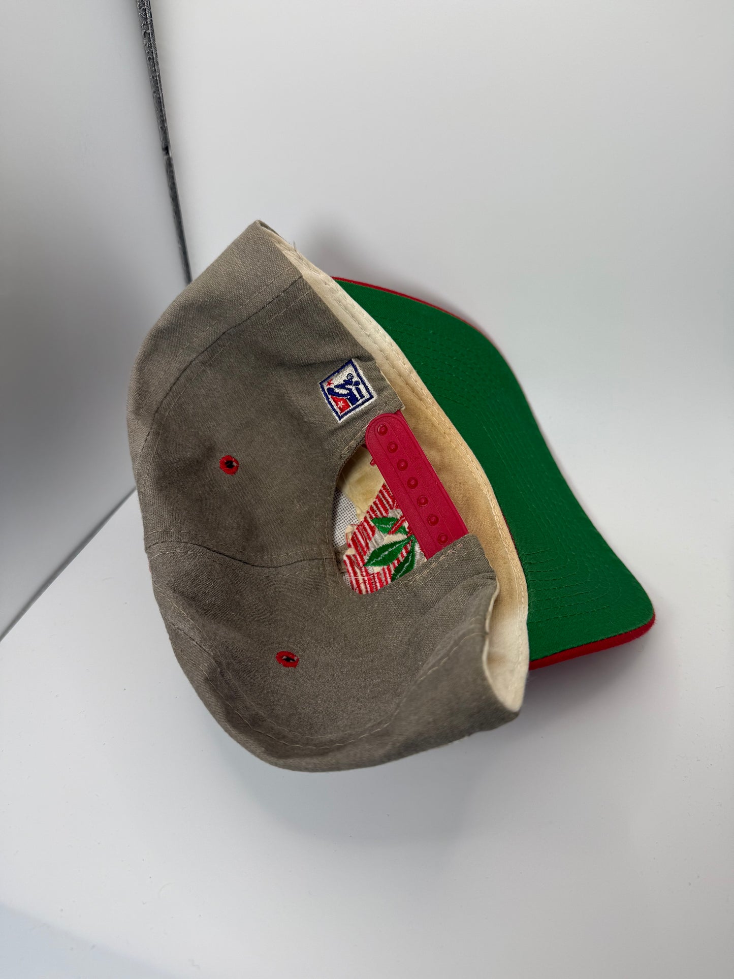 Vintage Ohio State Buckeyes The Game Snapback