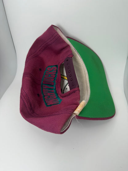 Vintage Anaheim Mighty Ducks American Needle Snapback