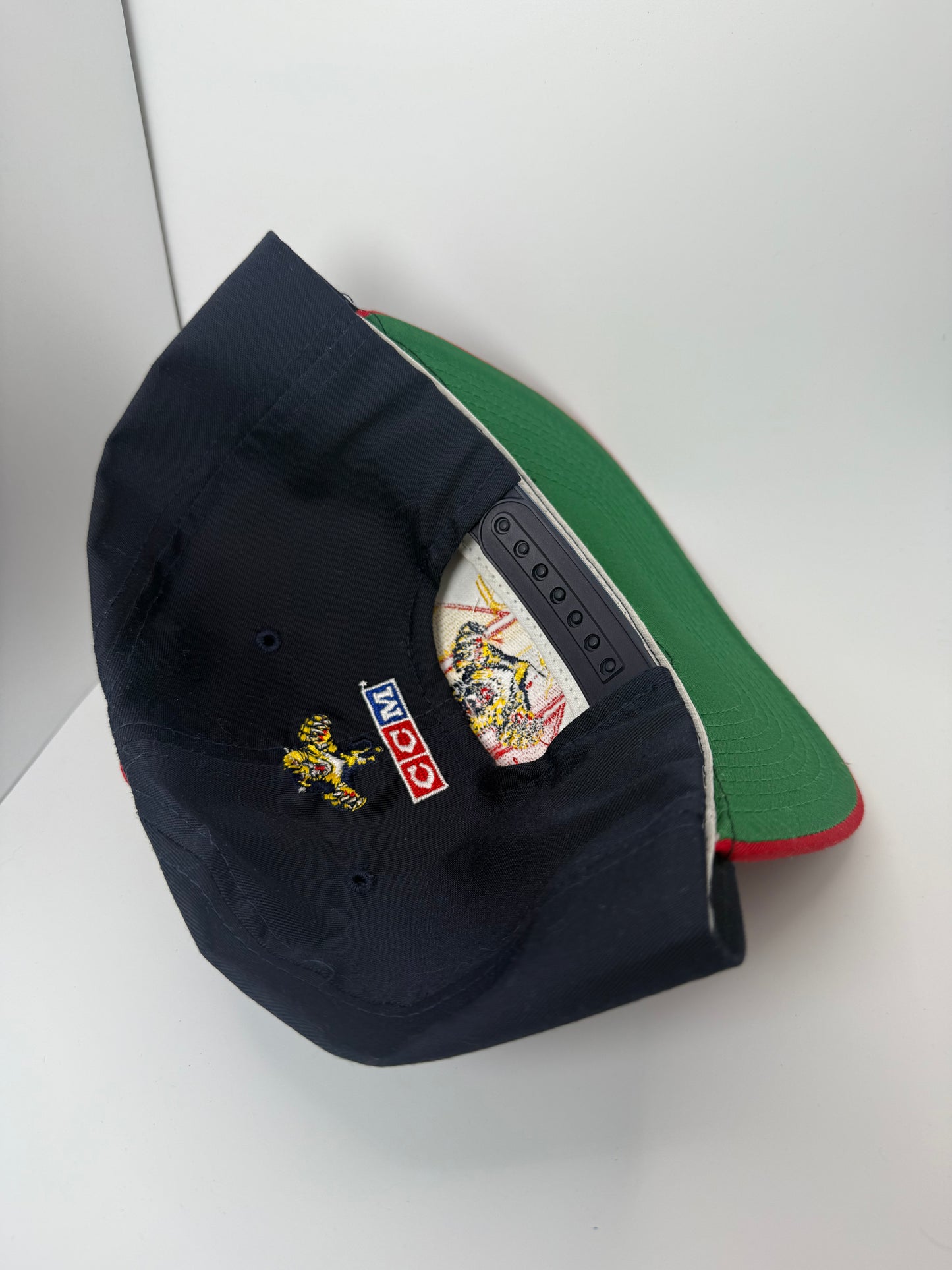 Vintage Florida Panthers CCM Signed Snapback