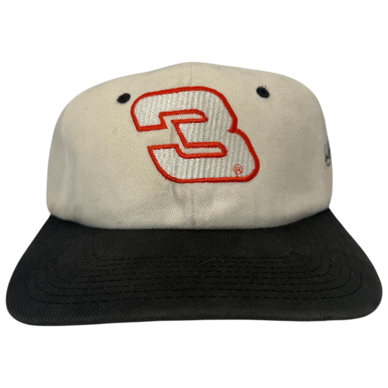 Vintage Dale Earnhardt Snapback