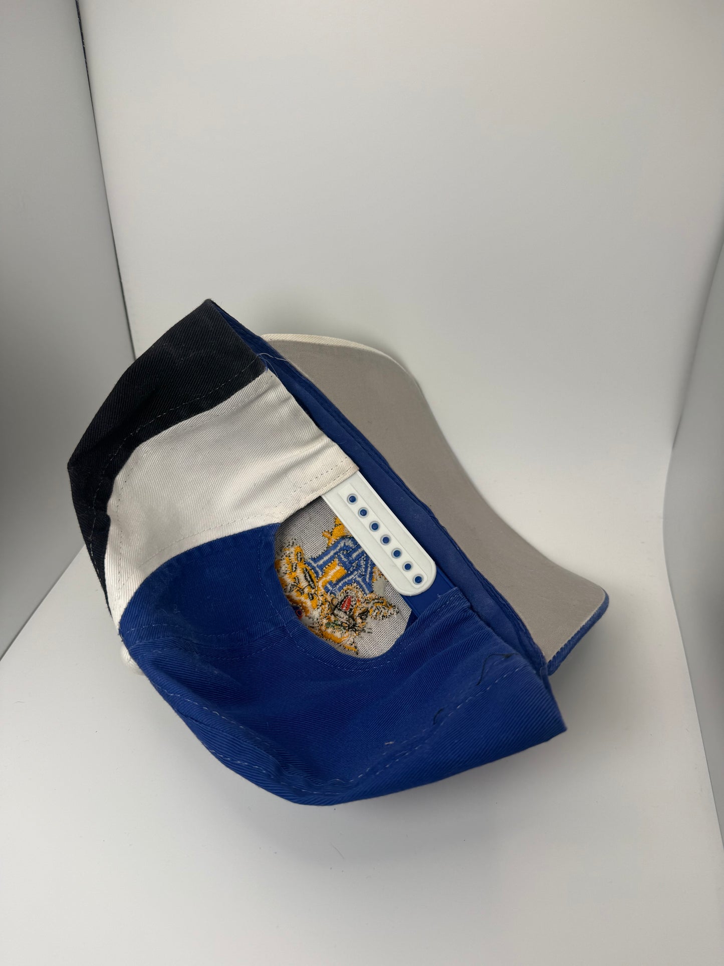 Vintage Kentucky Wildcats Top of the World Snapback