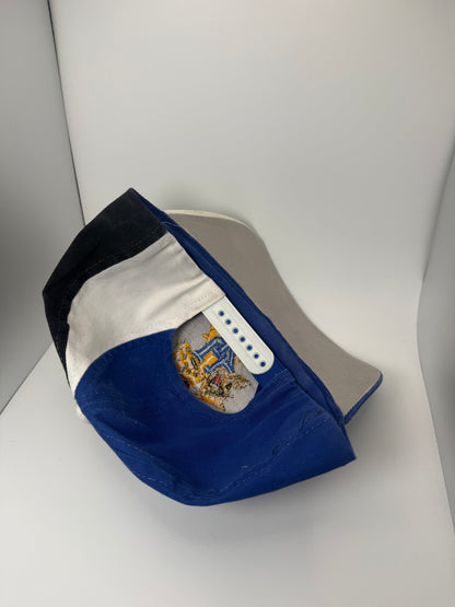 Vintage Kentucky Wildcats Top of the World Snapback