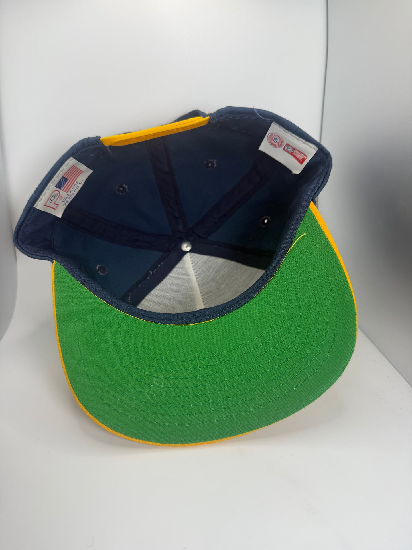 Vintage Michigan Wolverines Snapback