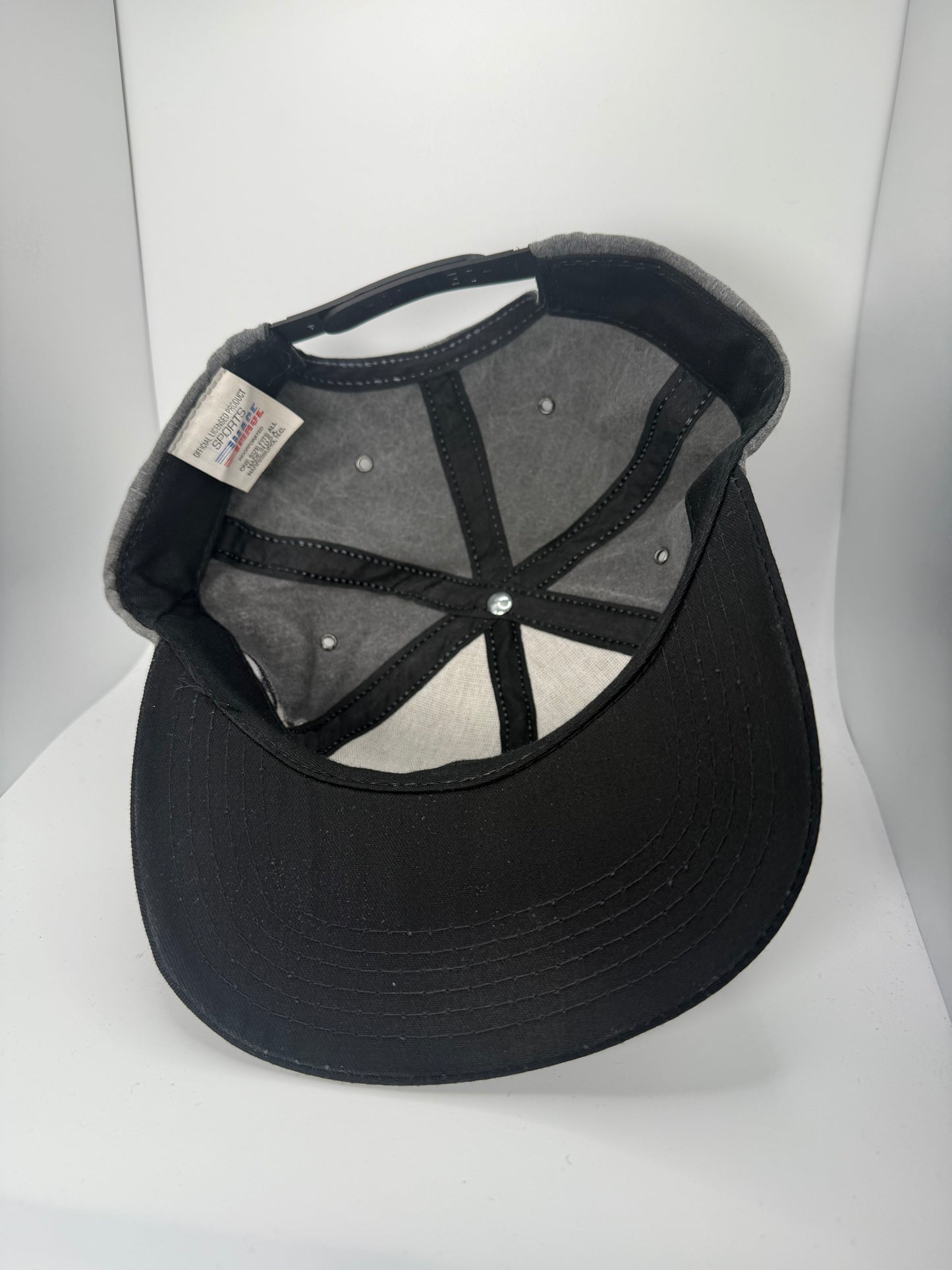 Vintage Dale Earnhardt Snapback