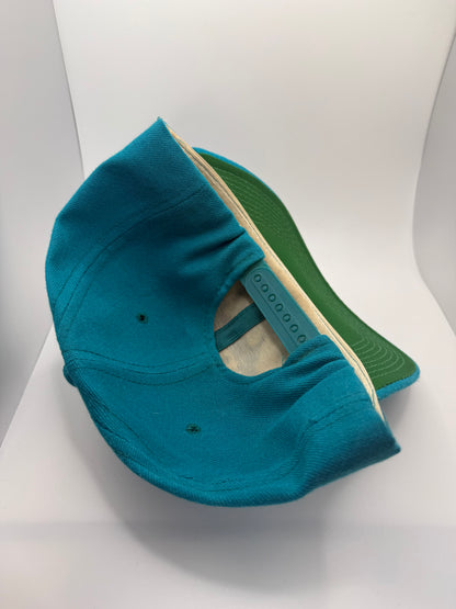 Vintage Charlotte Hornets Sports Specialties Script Snapback