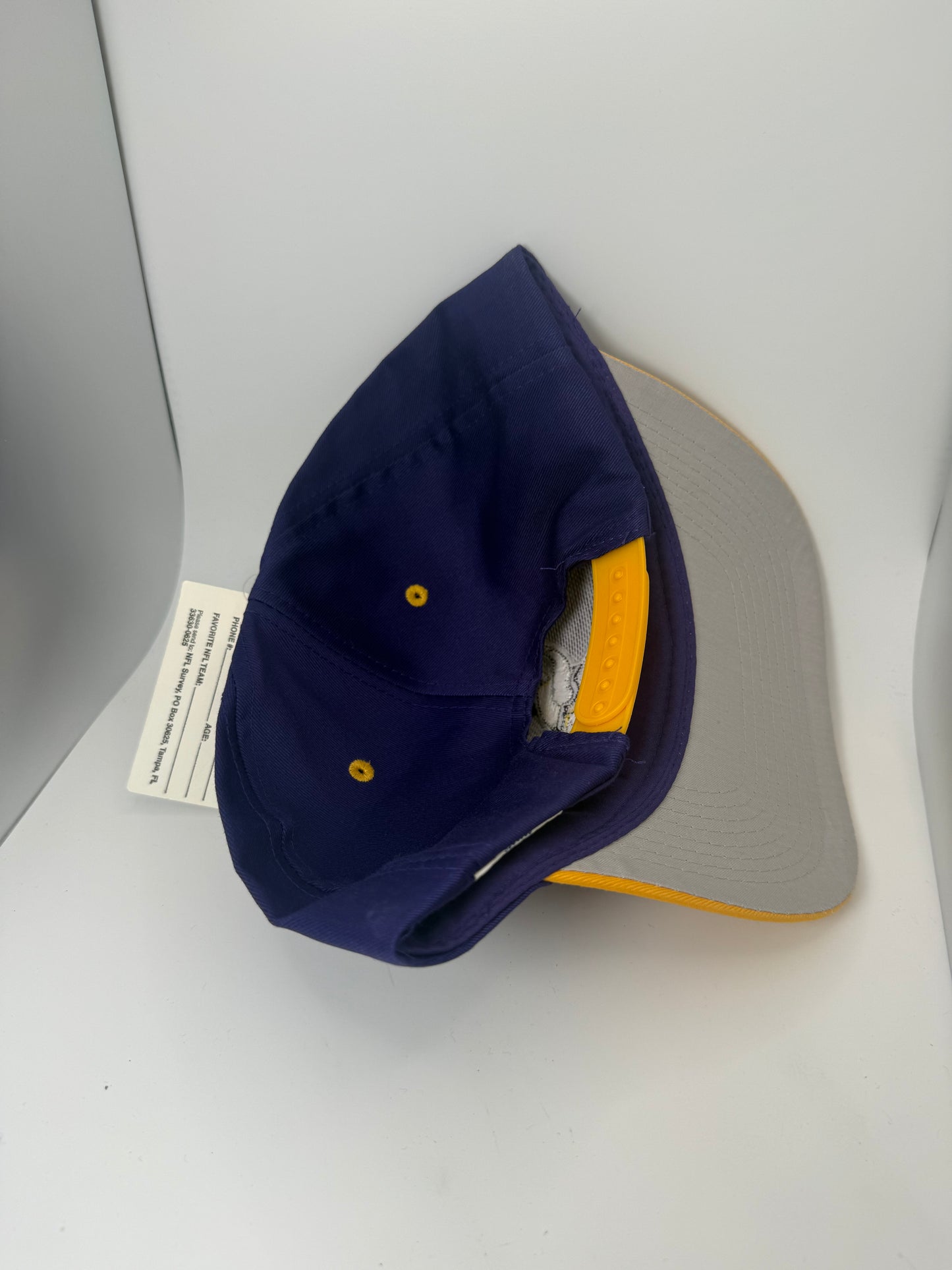 Vintage Minnesota Vikings Logo Athletic Snapback
