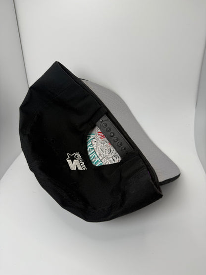 Vintage Vancouver Grizzlies Starter Snapback