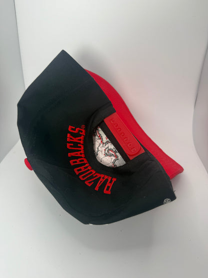Vintage Arkansas Razorbacks Slobber Hog Snapback