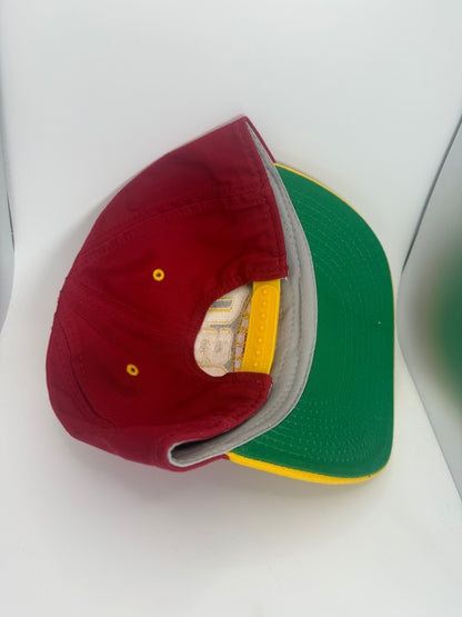 Vintage Ohio State Buckeyes Script Snapback