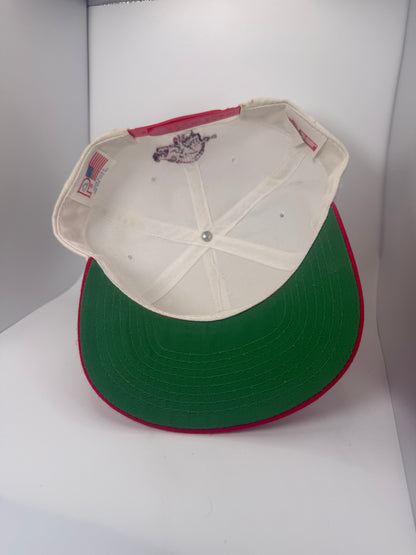 Vintage Arkansas Razorbacks Snapback