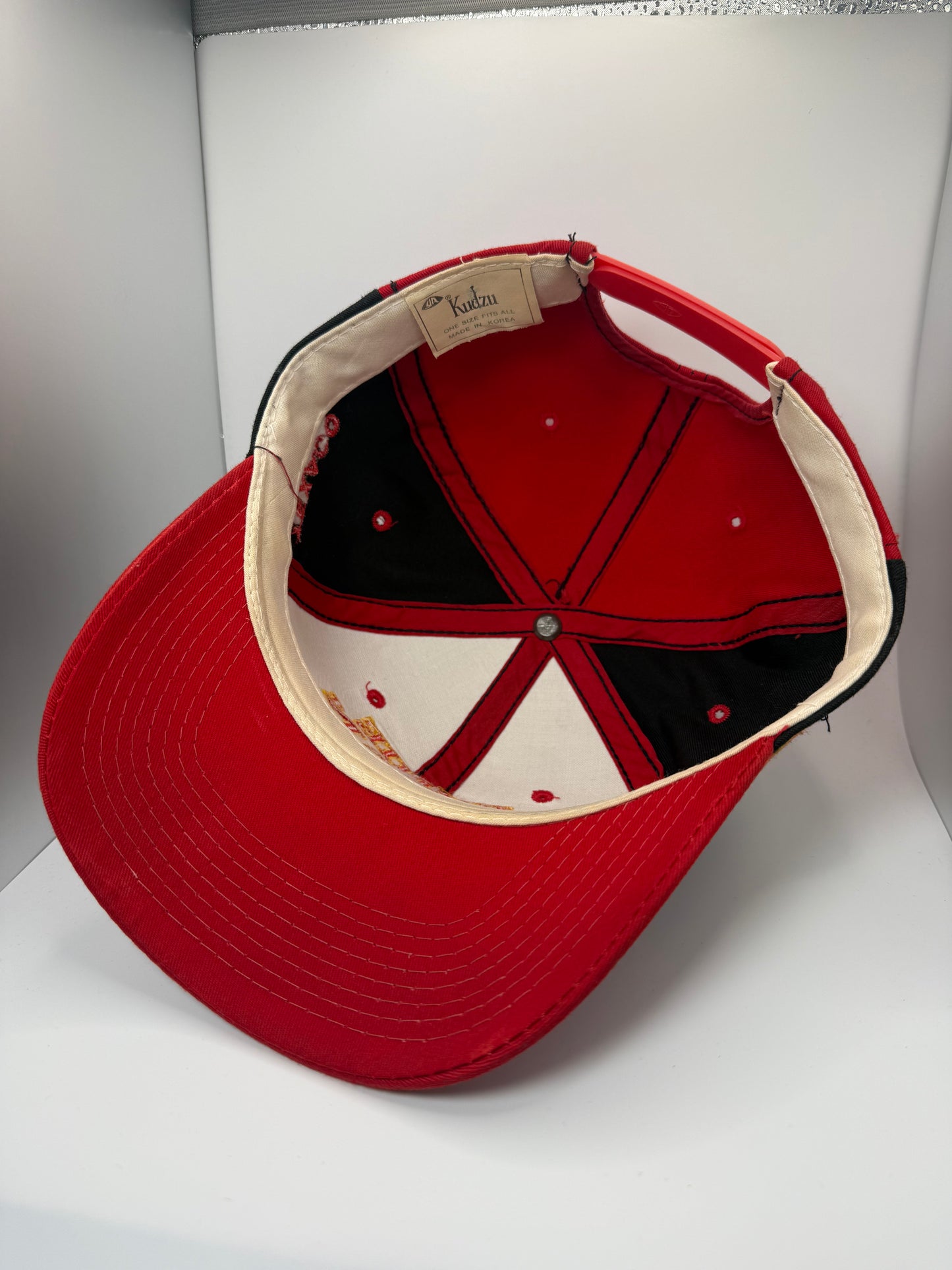 Vintage Ernie Irvan NASCAR Snapback