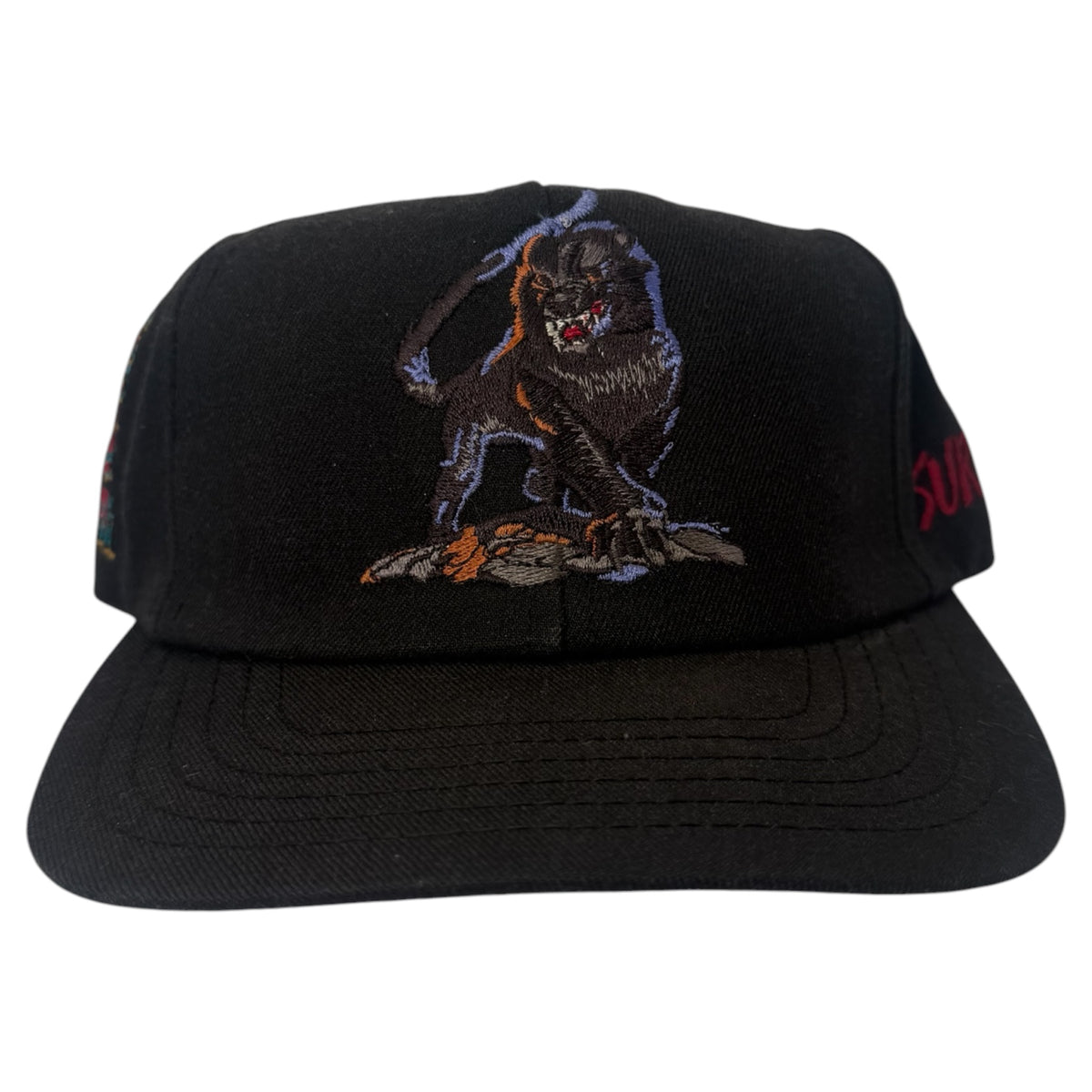 Vintage Kumba Busch Gardens Snapback