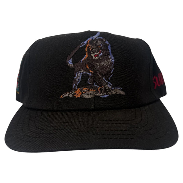Vintage Kumba Busch Gardens Snapback