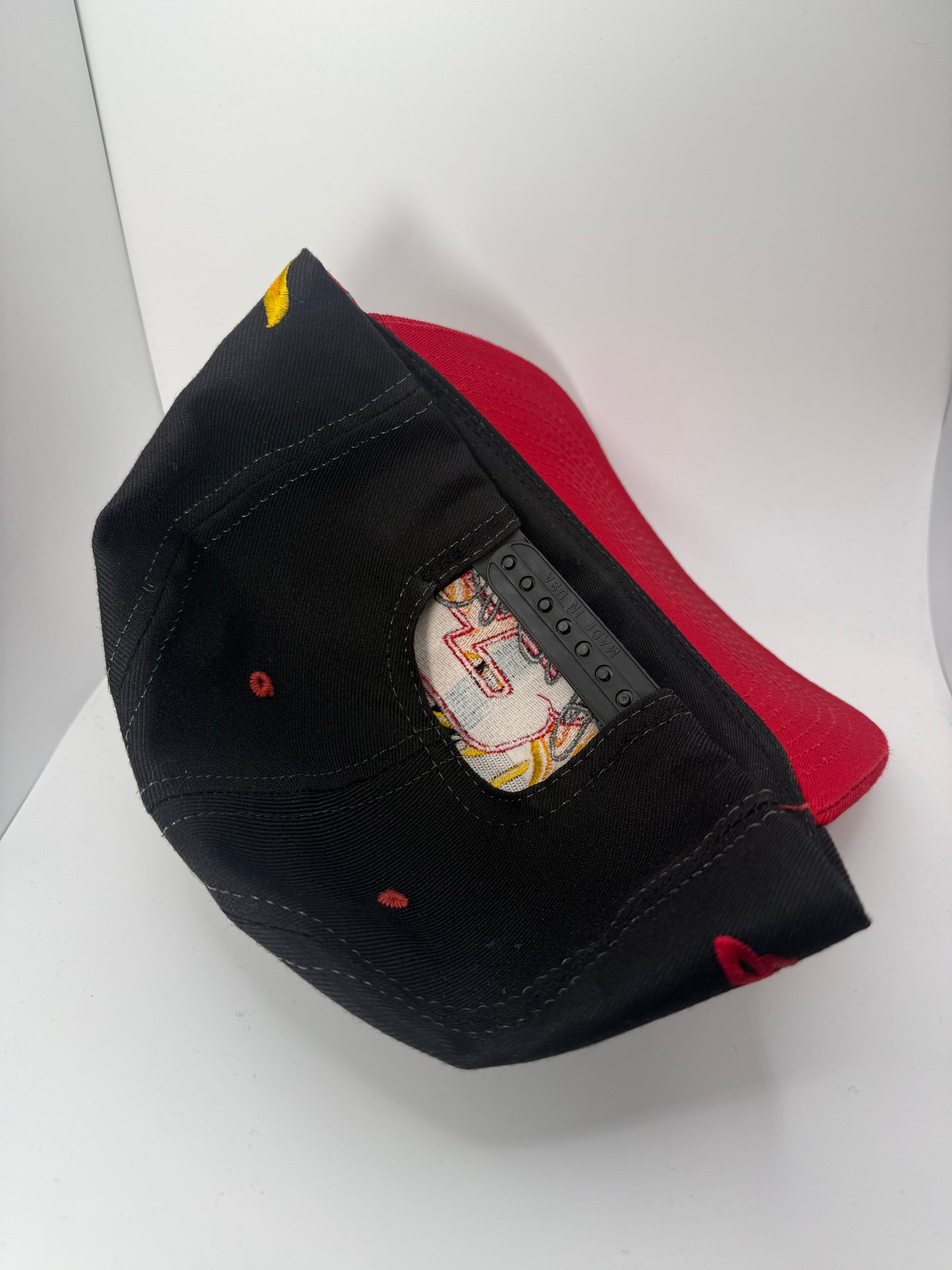 Vintage Dale Earnhardt Flames Snapback