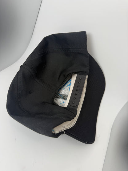Vintage Carolina Panthers American Needle Snapback