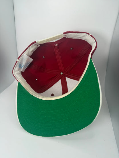 Vintage Arkansas Razorbacks The Game Snapback