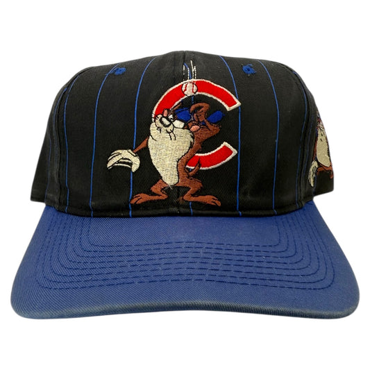 Vintage Chicago Cubs Taz Snapback