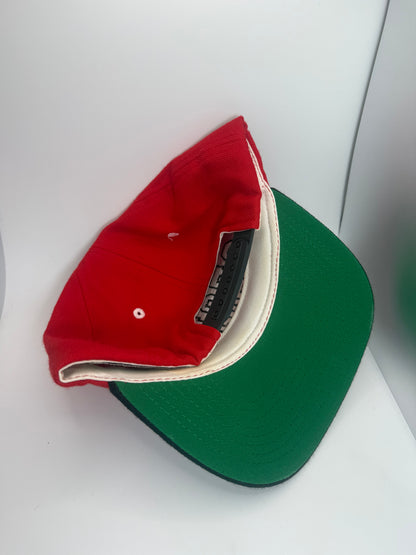 University of Georgia Bulldogs Snapback