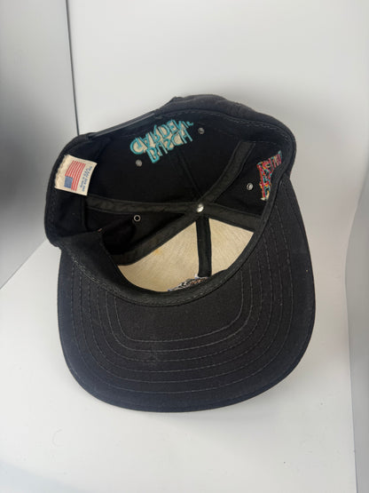Vintage Kumba Busch Gardens Snapback