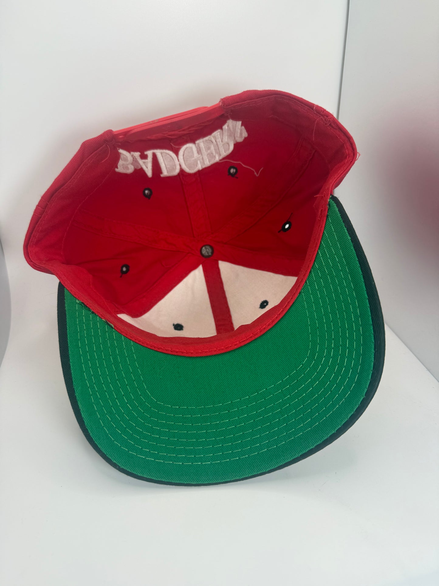 Vintage Wisconsin Badgers Snapback
