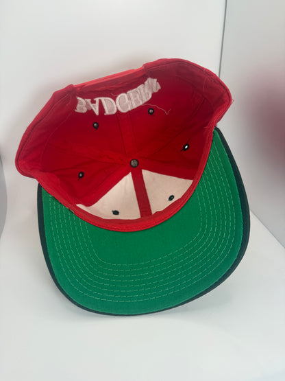 Vintage Wisconsin Badgers Snapback