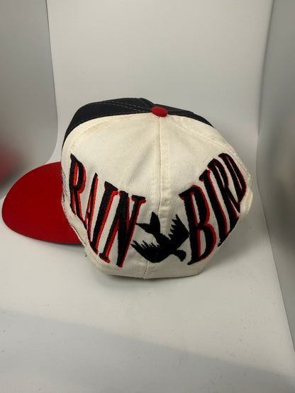 Vintage Maxicom Rain Bird Swirl Snapback