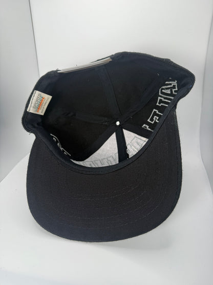 Vintage Dale Earnhardt Top Hit Snapback