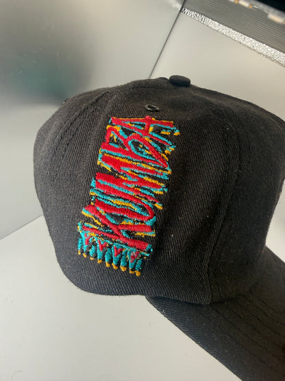 Vintage Kumba Busch Gardens Snapback