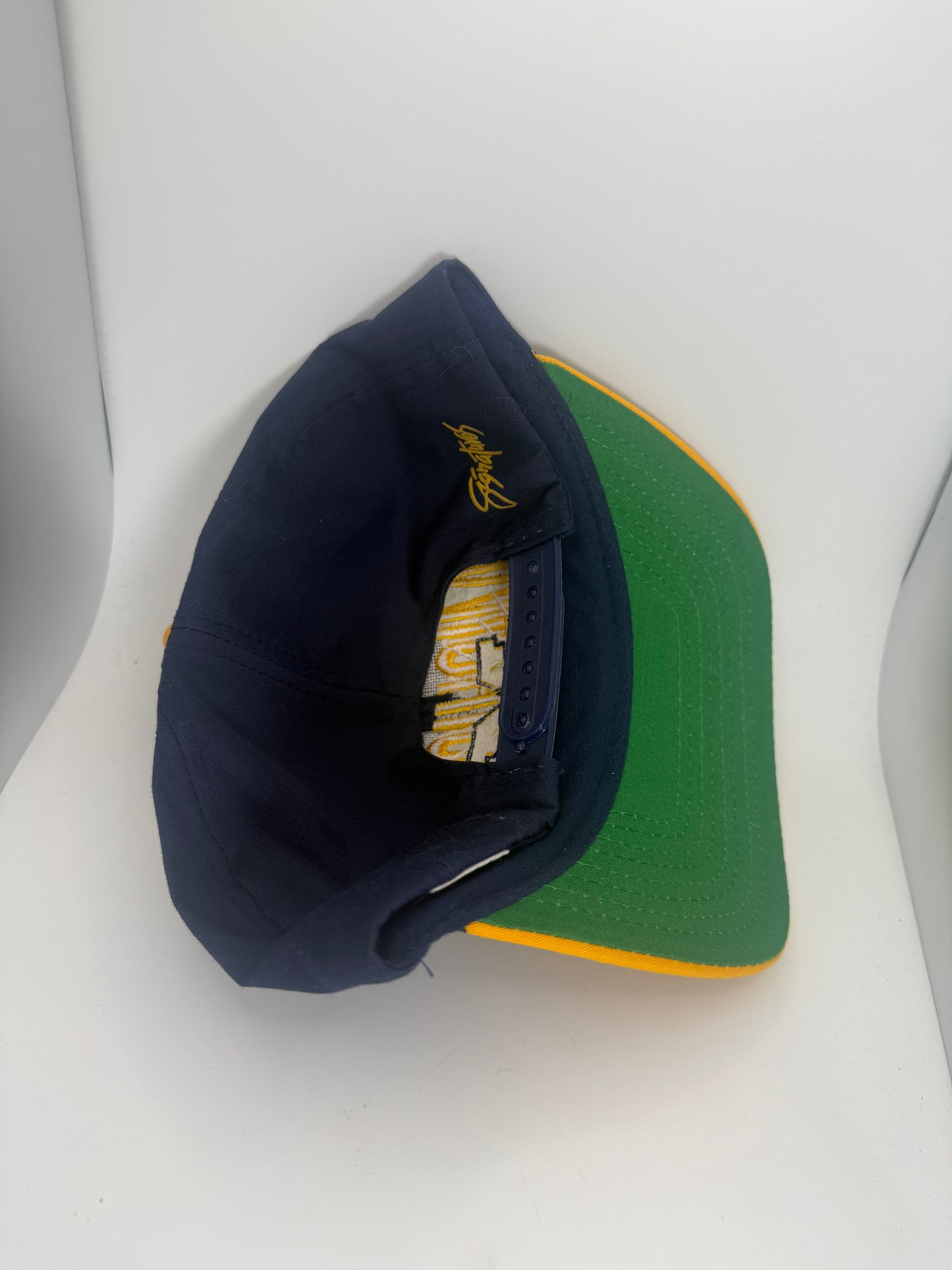 Vintage Michigan Wolverines Snapback
