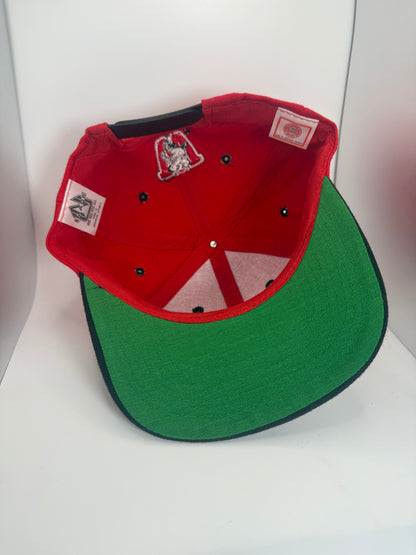 Vintage Wisconsin Badgers Snapback