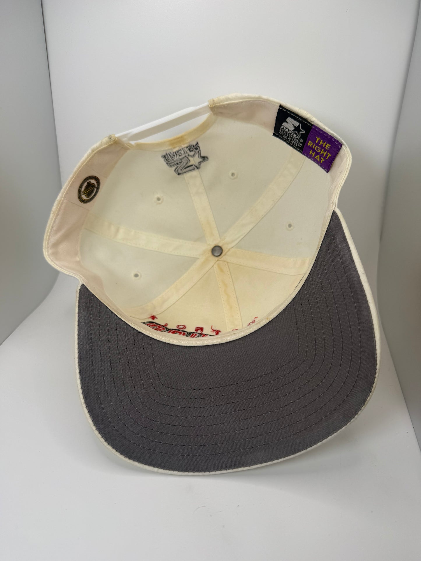 Vintage Detroit Red Wings Starter Snapback