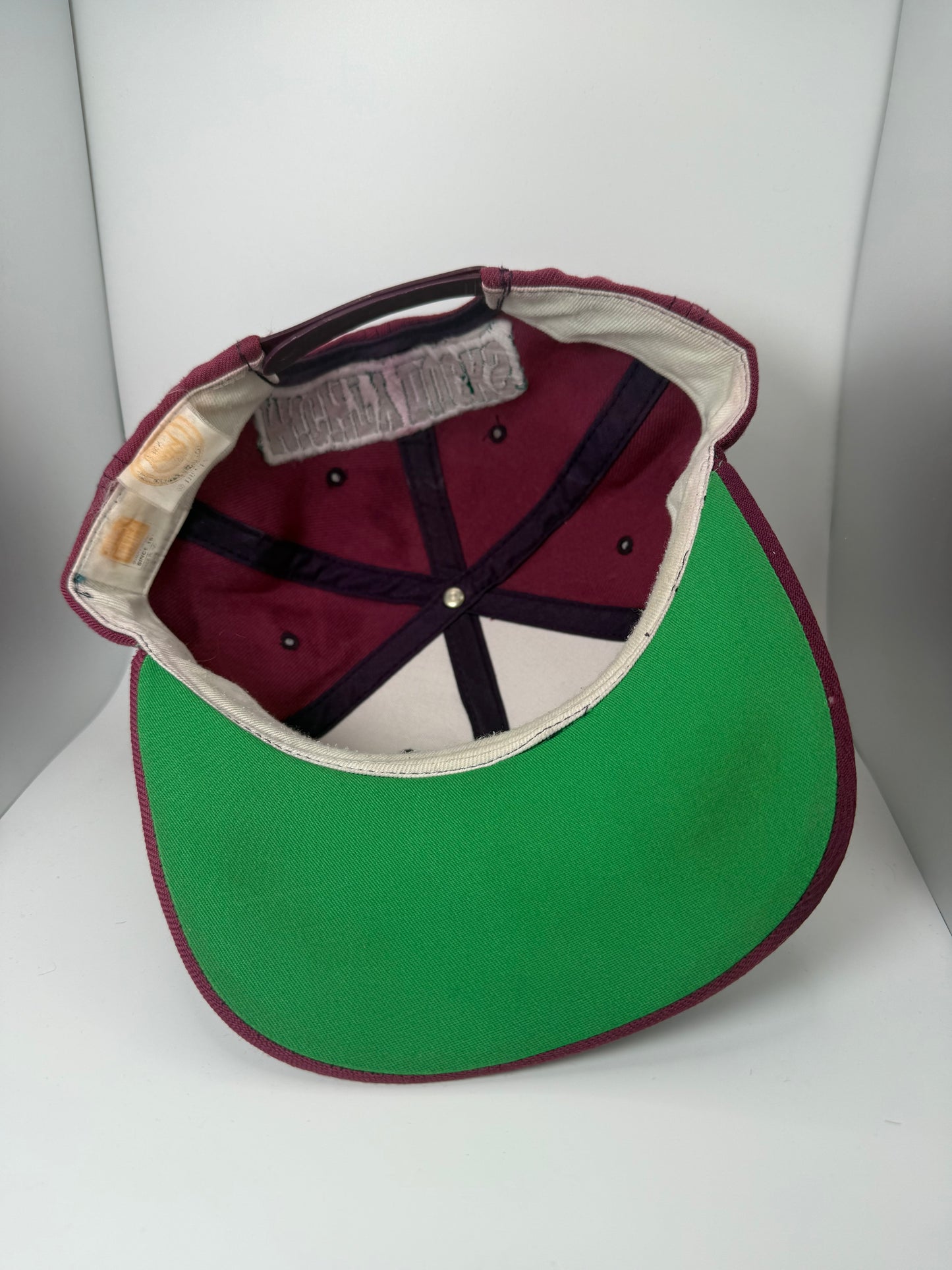 Vintage Anaheim Mighty Ducks American Needle Snapback