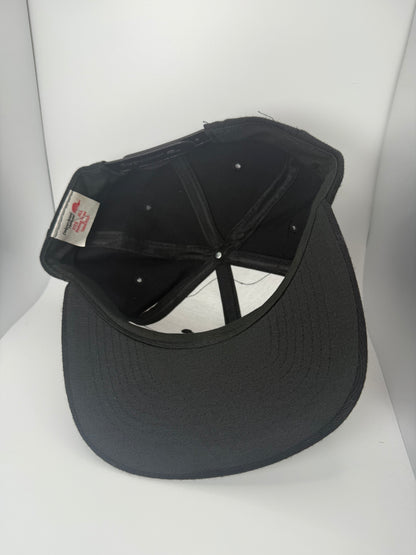 Vintage Albany Polecats MiLB Snapback