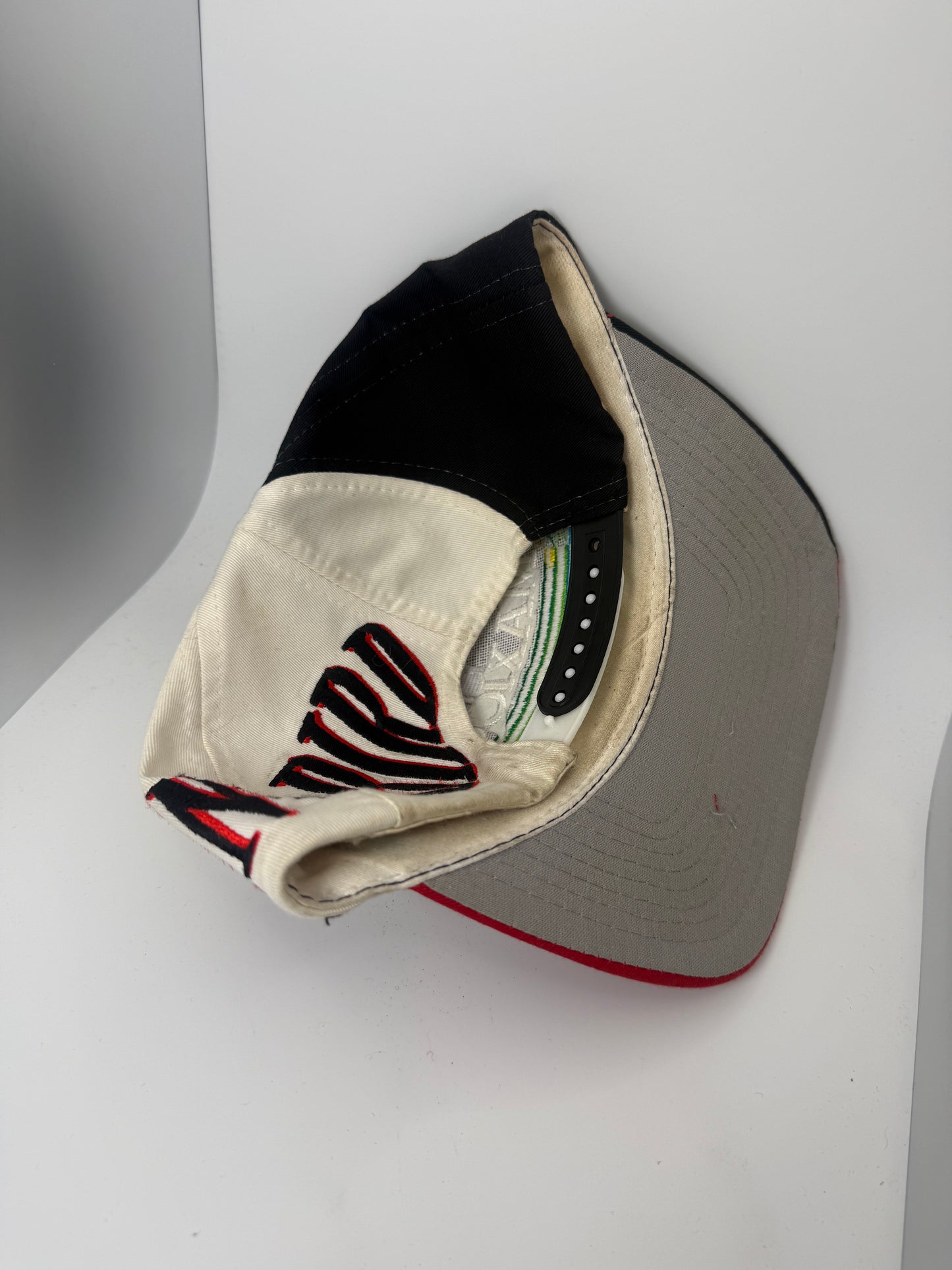 Vintage Maxicom Rain Bird Swirl Snapback
