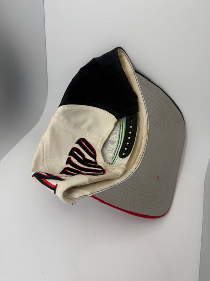 Vintage Maxicom Rain Bird Swirl Snapback