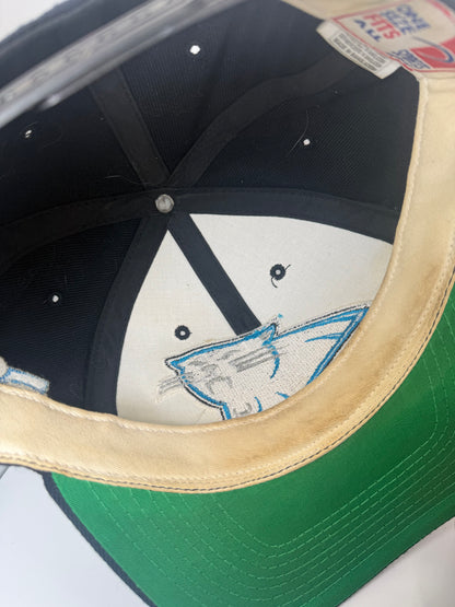 Vintage Carolina Panthers Sports Specialties Snapback